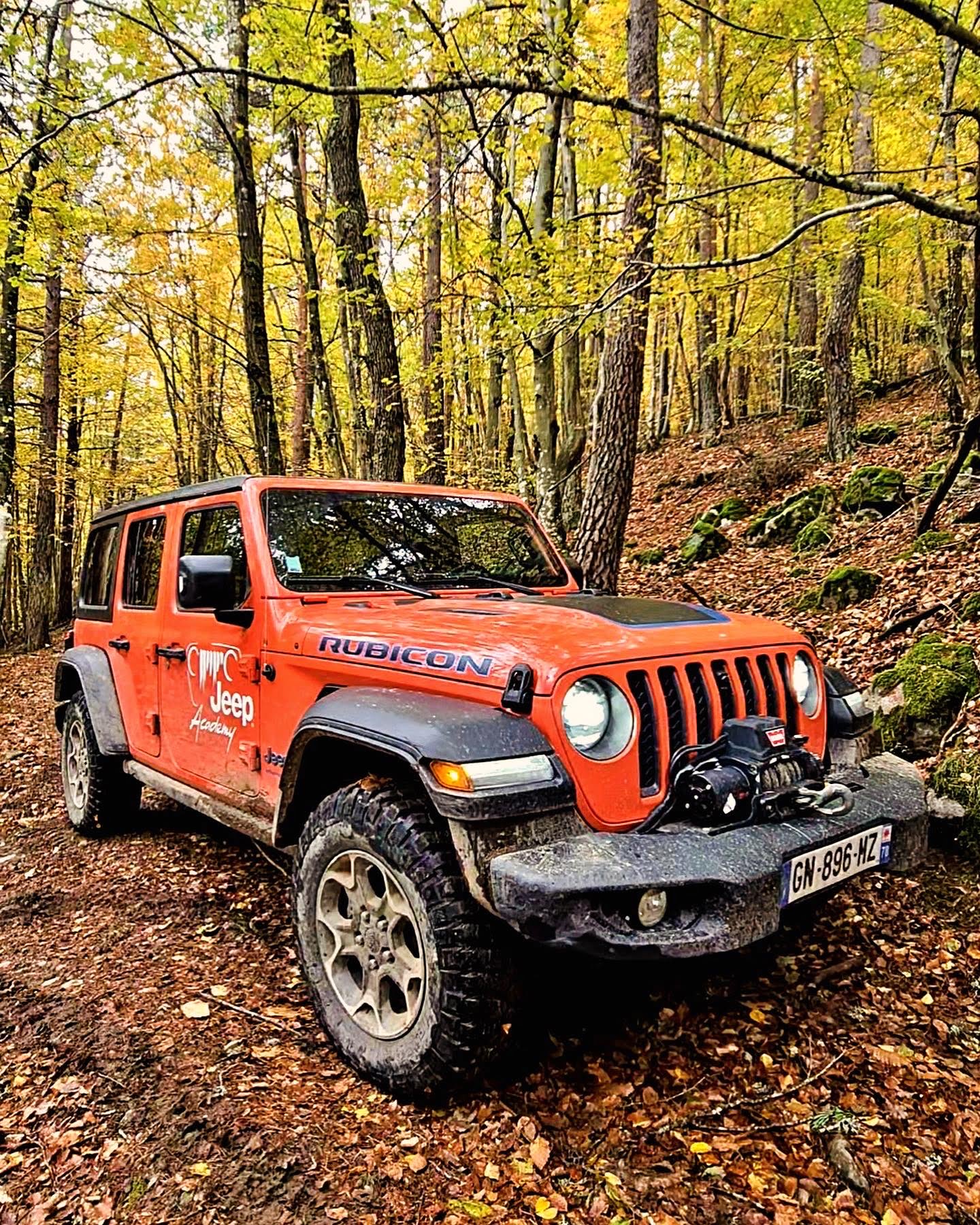 9FD3E5D6-7CC0-4E64-B3E1-496D1A664BFF